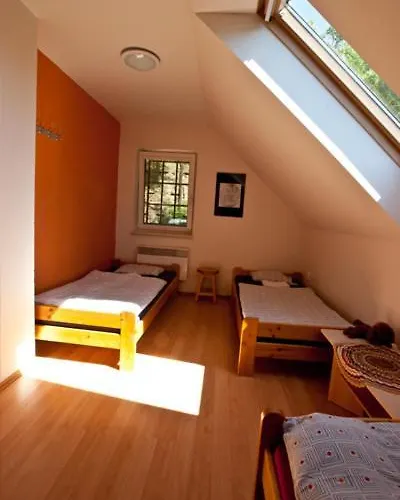 Prázdninový dům - Sklep *