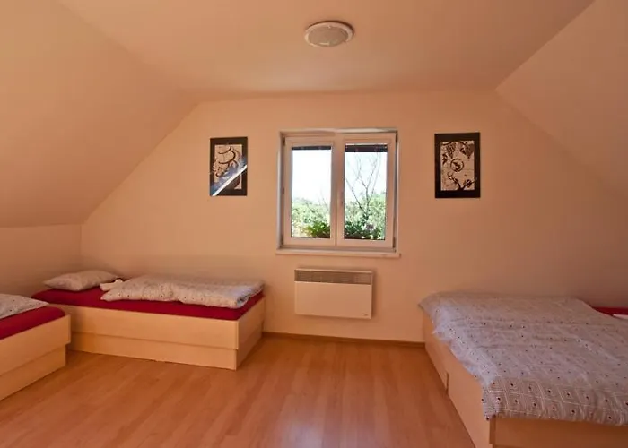 Prázdninový dům - Sklep